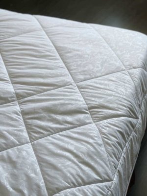 одеяло dacha микроволокно (170 x 205, микрофибра, 100% микроволокно, 100 гр.)